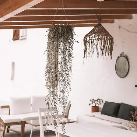 Casa Om Dosrius