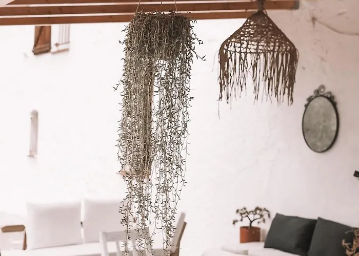 Casa Om Dosrius